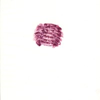 pastel rose sur calque, 2007, 29,7x21cm( coll FNAC/Cndp 9)